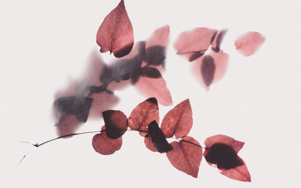 how yin yoga works
